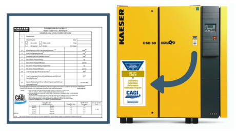 CAGI performance verification