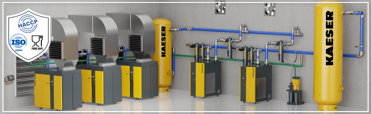 CSG oil-free rotary screw compressors - system rendering