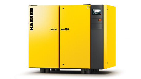 K-BSV rotary vacuum screw