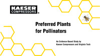 P-plants for pollinators - web