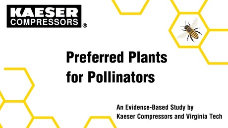 plants for pollinators