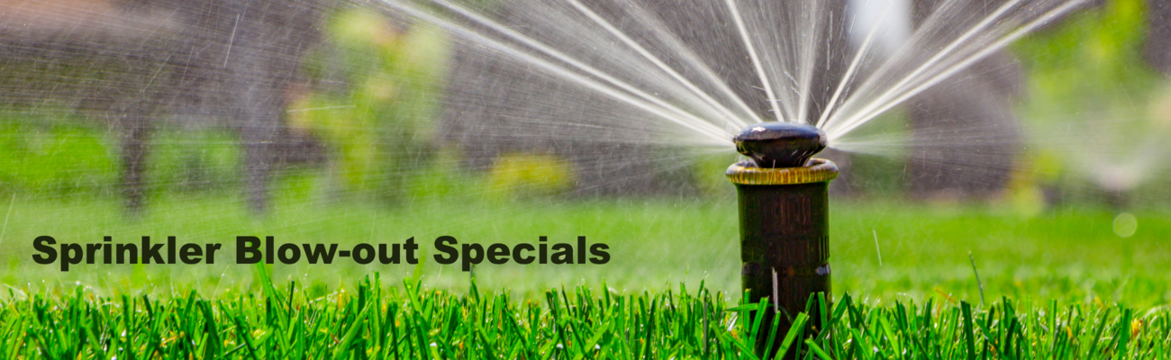 sprinkler blow-out specials