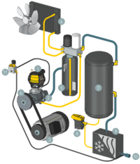 SXC component layout