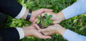 partners in sustainability