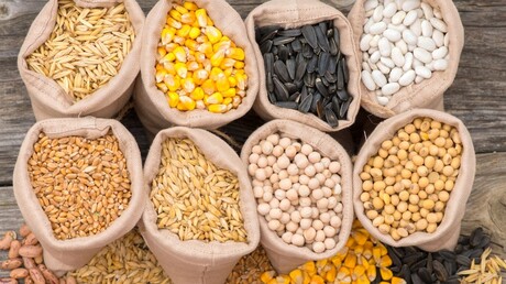 use blowers for pneumatic conveying of grains and other bulk materials