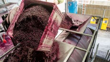 pneumatic-press-filled-teusner-wines