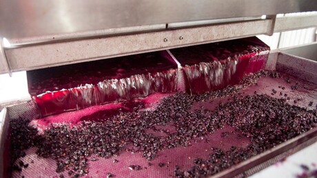 pneumatic-press-teusner-wines